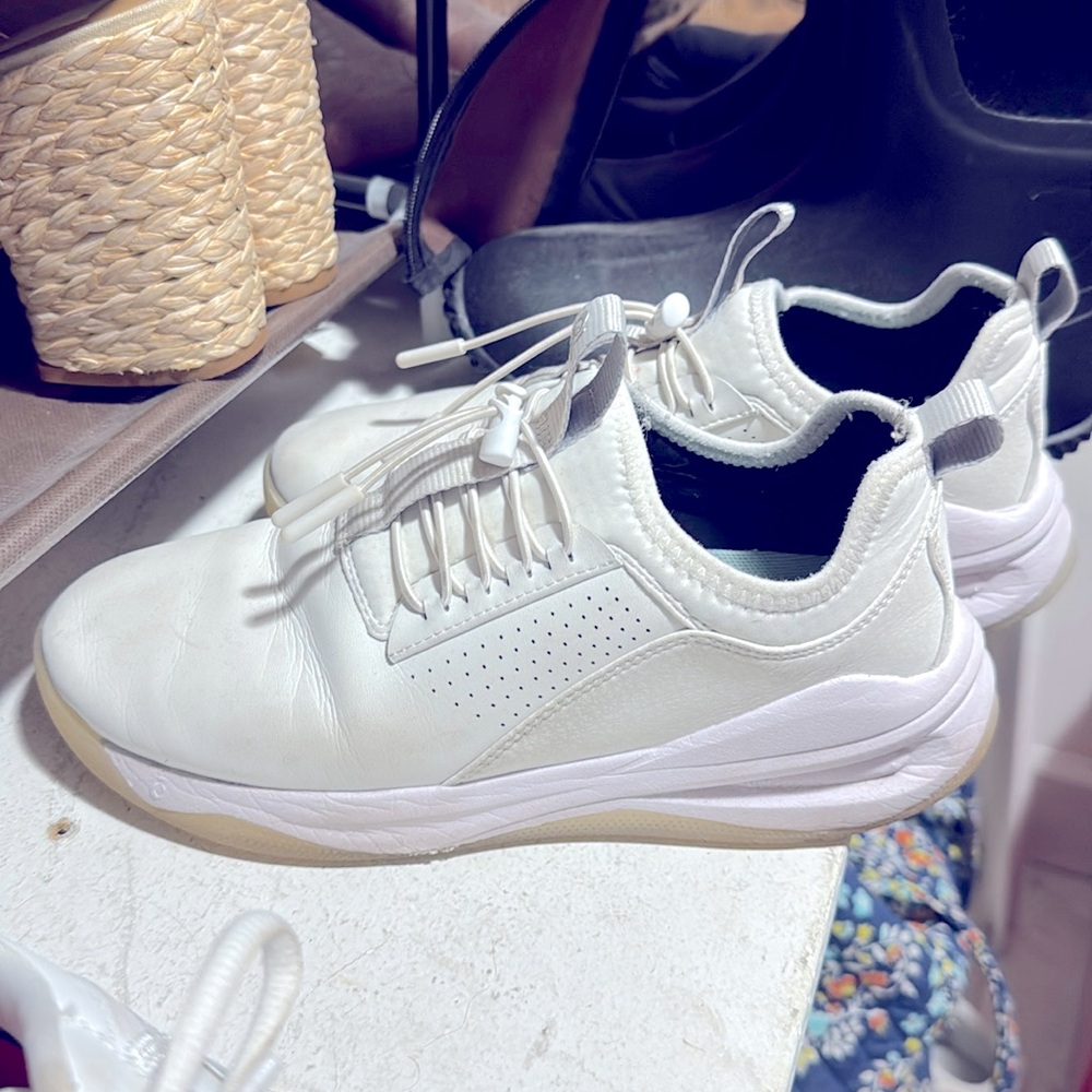 Clove sneakers